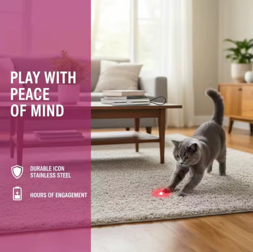 Cat Toy Laser